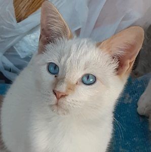 Meet your Posher, Melanie